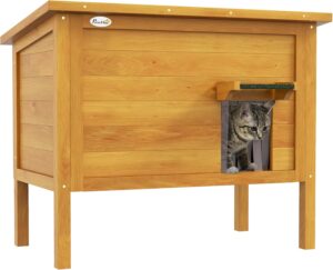 Arbre à chat d&rsquo;extérieur : modèles pour jardin et balcon (2026)